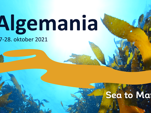 Konferansen Sea to Market - Algemania er vel gjennomført!